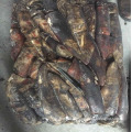 Whole round gigas squid from Peru